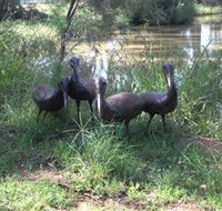East Tolans Farm Tour - Attractions Sydney