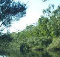 Crawford River Regional Park - Attractions Sydney