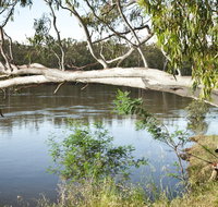 Murray Valley National Park - Attractions Sydney