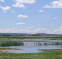Fivebough Wetlands - Attractions Sydney