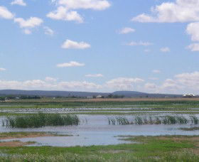 Fivebough Wetlands - Attractions Sydney 0