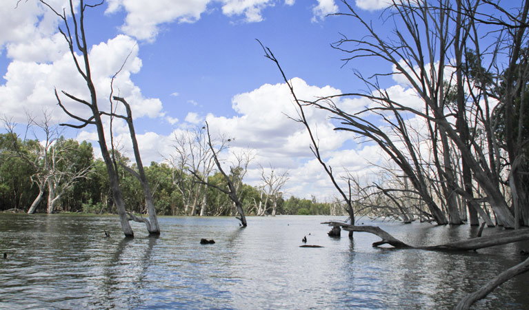 Morundah NSW Attractions Sydney
