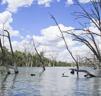 Murrumbidgee Valley National Park - Attractions Sydney