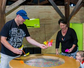 Twisted - Science At Play - Attractions Sydney 2