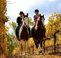 Billabong Ranch - Attractions Sydney