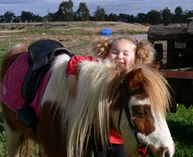 Billabong Ranch - Attractions Sydney 1