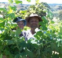 Wimmera Hills Winery - Attractions Sydney