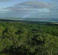 Mount Richmond National Park - Attractions Sydney