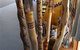 Sandhills Artefacts - thumb 0