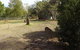Cemetery Walk Self-Guided Tour - thumb 1