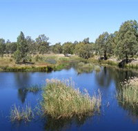 Narrandera Wetlands - Attractions Sydney