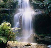 Mount Buangor State Park - Attractions Sydney