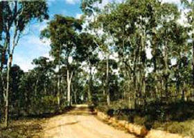 Paddys Ranges State Park - Attractions Sydney 0
