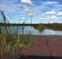 Gwydir Wetlands - Attractions Sydney
