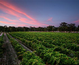 Amherst Winery - Attractions Sydney 0