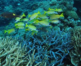 Port Douglas QLD Attractions Sydney
