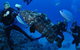 Castle Rock Dive Site - thumb 1