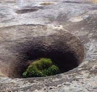 Blowhole and the Rocks - Attractions Sydney