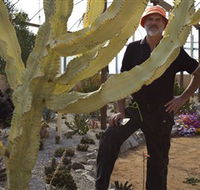 Cactus Country - Attractions Sydney
