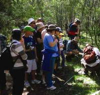Warrumbungle National Park Discovery Program - Attractions Sydney