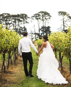 Quoin Hill Vineyard - Attractions Sydney 2