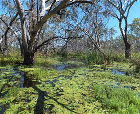 Macquarie Valley Trails - Attractions Sydney 0