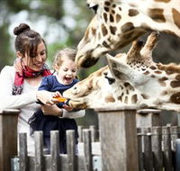 Taronga Western Plains Zoo Dubbo - Attractions Sydney