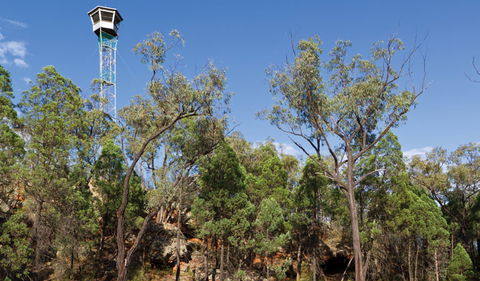Salt Caves Picnic Area - Attractions Sydney 2