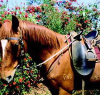 Western Plains Riding Centre - Attractions Sydney