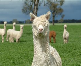 Creswick Woollen Mills - Attractions Sydney 1
