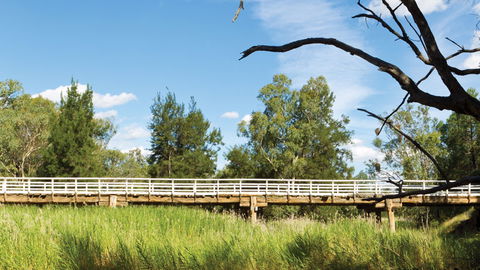Pilliga National Park - Attractions Sydney 3