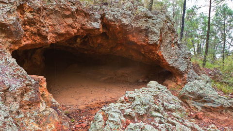 Pilliga National Park - Attractions Sydney 1