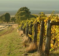 Captains Creek Organic Wines