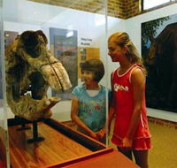 Australian Museum Diprotodon Exhibition - Attractions Sydney