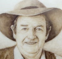 Doris Golder Wool Art Gallery - Attractions Sydney