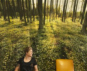 Port Fairy Massage - Attractions Sydney 0