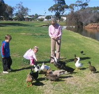 Roy Little Park Merredin
