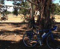 Book Murchison Accommodation Vacations Attractions Sydney Attractions Sydney