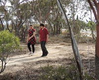 Tamma Parkland