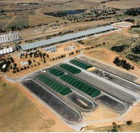 Co-operative Bulk Handling CBH Wheat Storage and Transfer Depot - Attractions Sydney