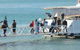 Keswick Island Jetty - thumb 1