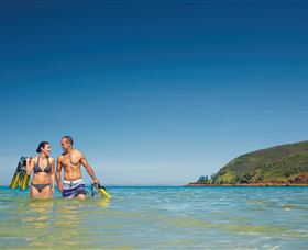 Snorkelling On Keswick Island - Attractions Sydney 0