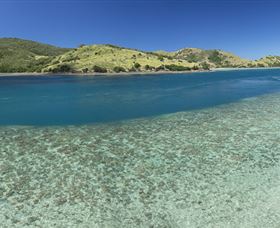 Snorkelling On Keswick Island - Attractions Sydney 1