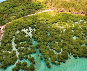 The Singapore Shipwreck Dive Site - Keswick Island - Attractions Sydney 0