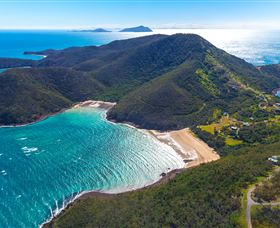 Whale Watching On Keswick Island - Attractions Sydney 1