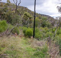 Lynchs loop trail - Attractions Sydney