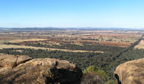 Basin Gully To Eualdrie Lookout Track - Attractions Sydney 0