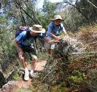 Mount Arthur Reserve - Attractions Sydney