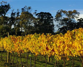 Paramoor Winery - Attractions Sydney 3