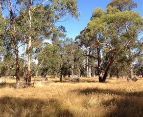 Paramoor Winery - Attractions Sydney 4